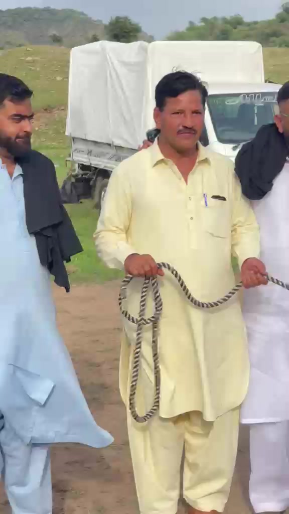 @Muhammad Imraz