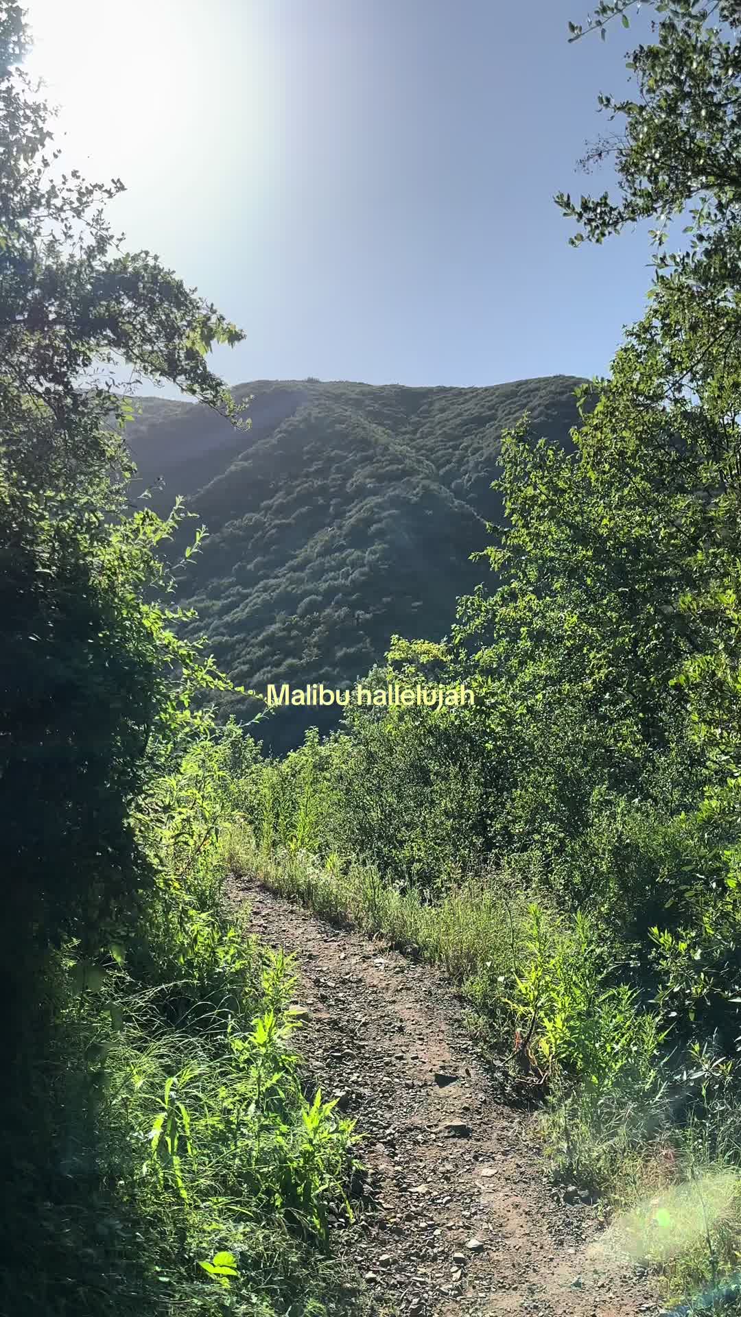 @naturesnoods