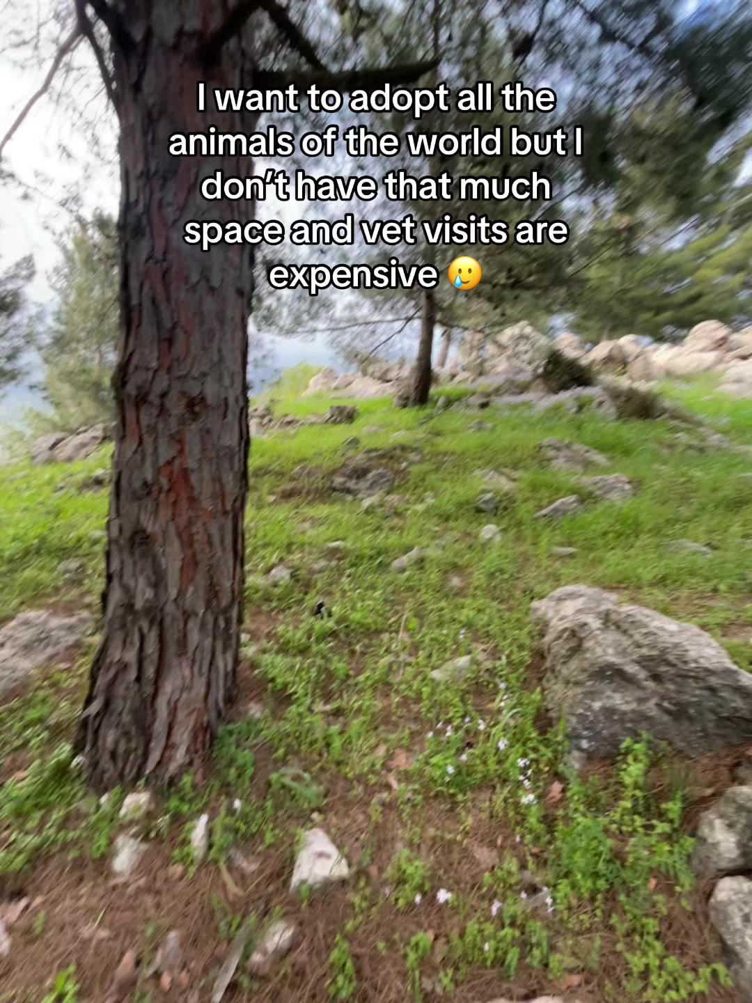@Nala & Bella 💜