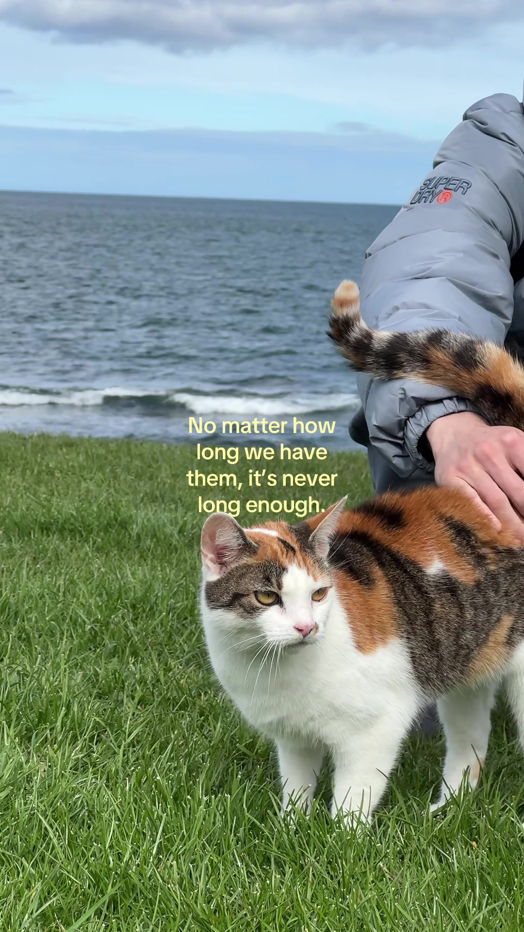 @𝒜𝓃𝒶𝓈𝓉𝒶𝓈𝒾𝒿𝒶
