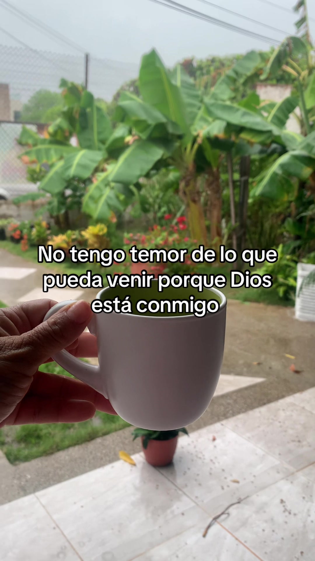@Francis