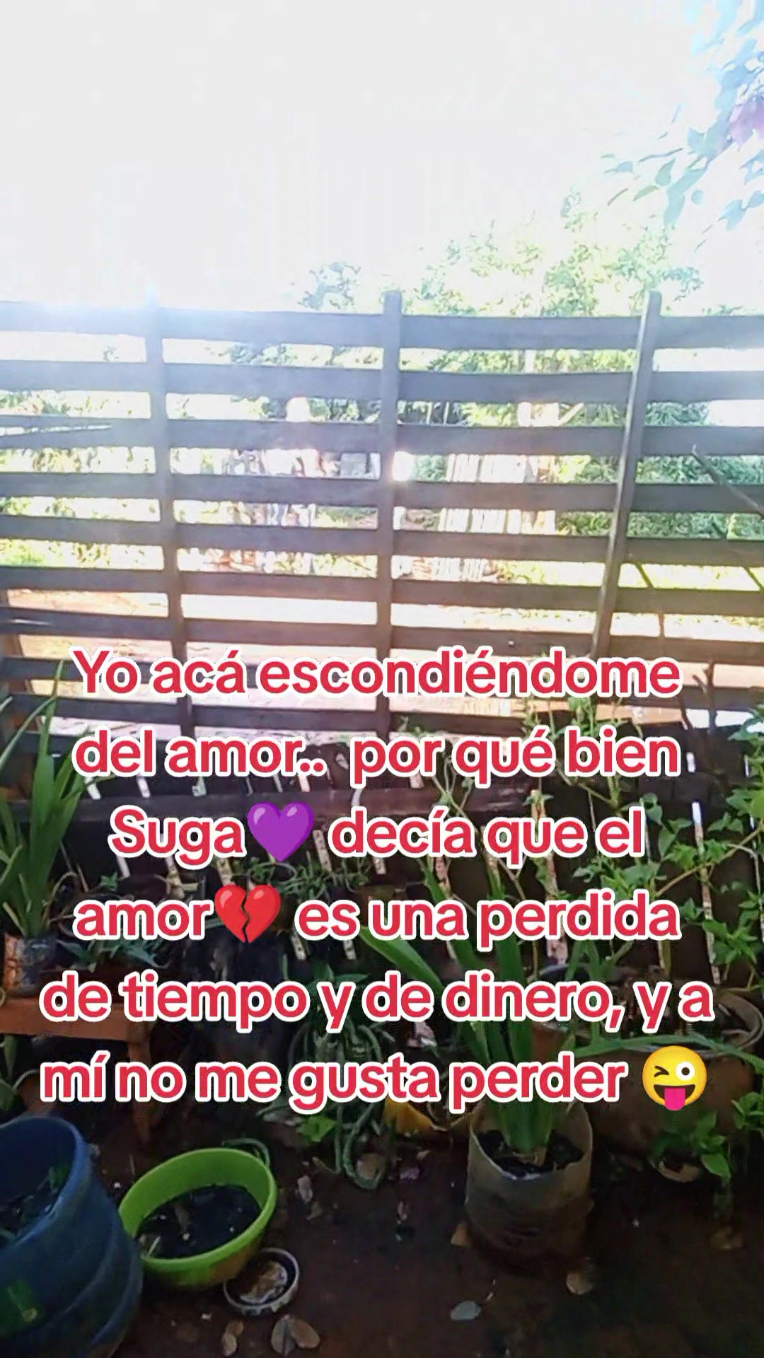 @LuznuOT7 💜