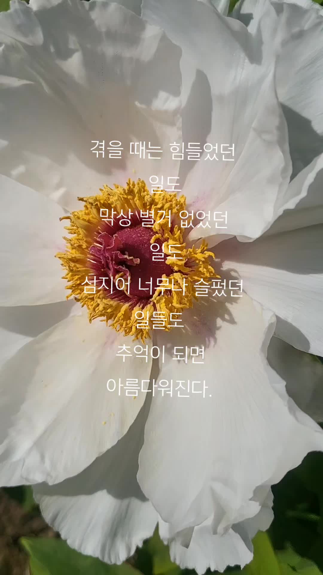 @앤