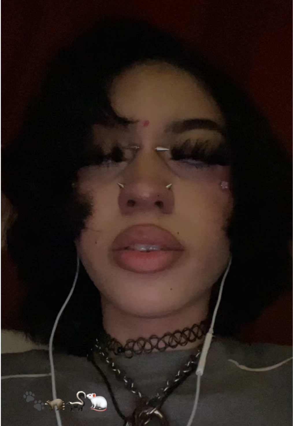 @starbornmutt