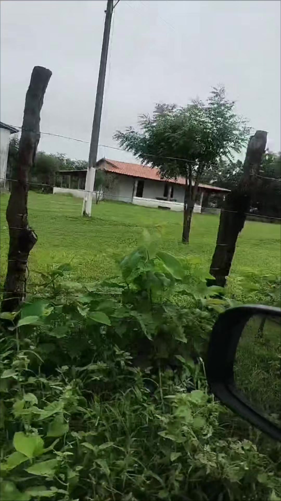 @Diegoalves2313