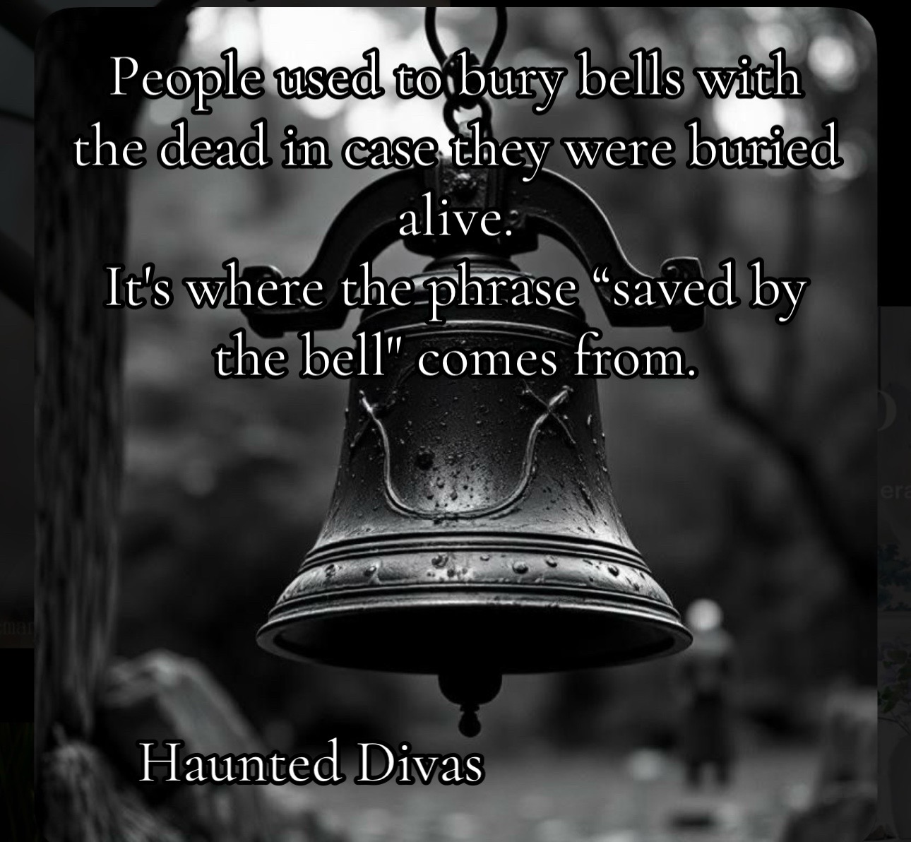 @haunted.divas