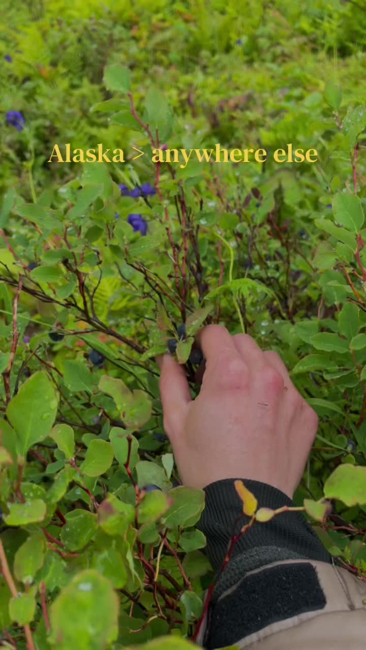 @Lia - Off Grid Alaska