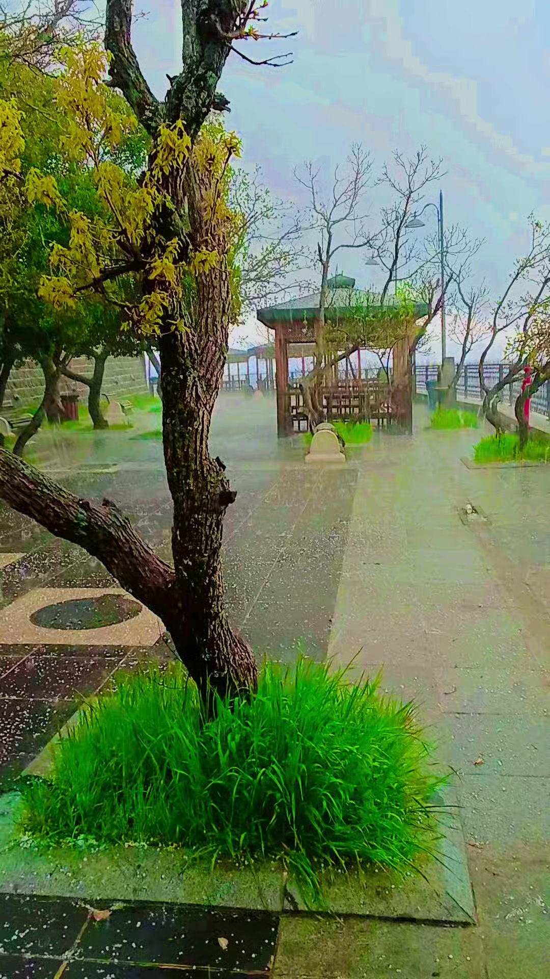 @꧁ঔৣ☬✞S̼U̼R̼U̼&Ccedil;L̼U̼✞☬ঔৣ꧂