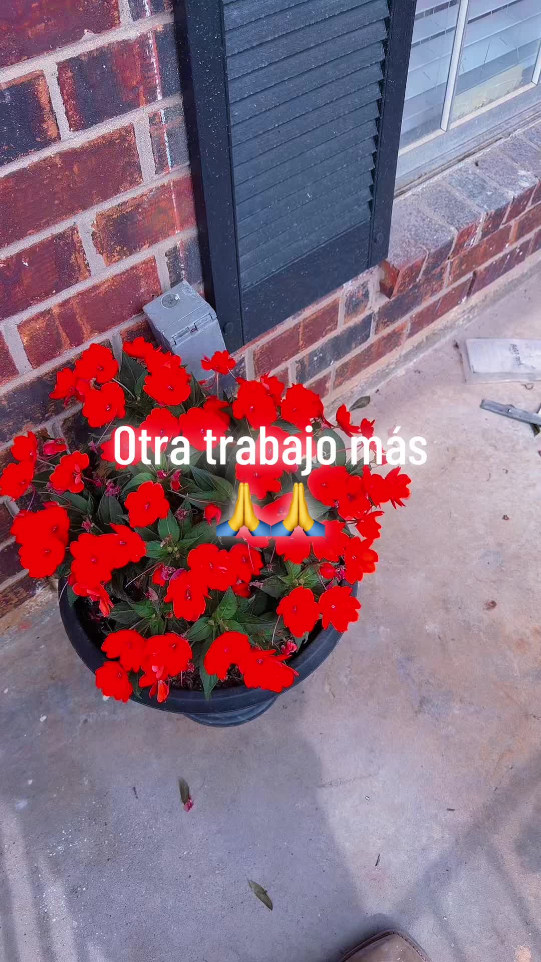 @🪽🤍✨ⒺⓁⒾⒶⓈ🇮🇱ⒻⒽ7️⃣🌹💣🌜🌎🌛