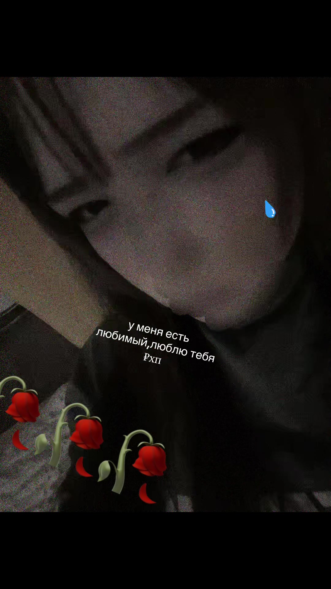 @lolkek21_chebukris
