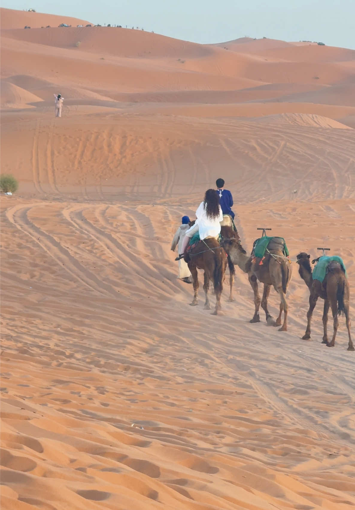 @Merzouga Globe 🌎