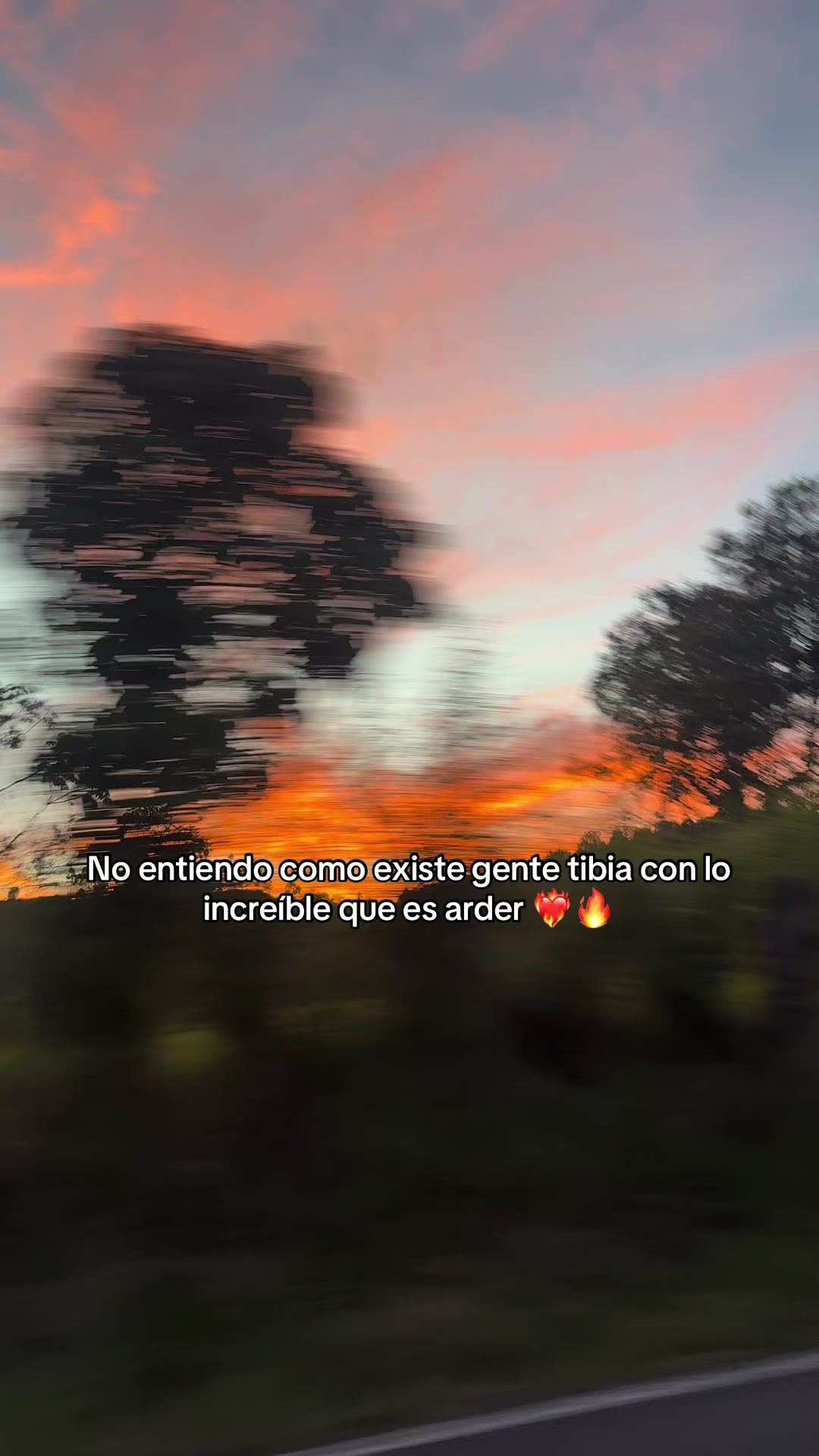 @ANDREW ROCKSTAR 👑🦁❤️&zwj;🔥