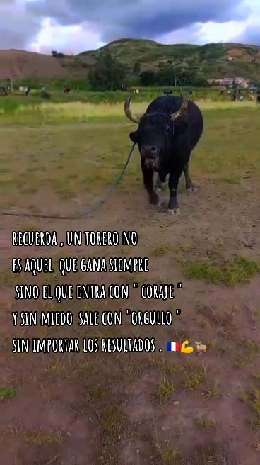 @WILIAM☘️🫥🇫🇷
