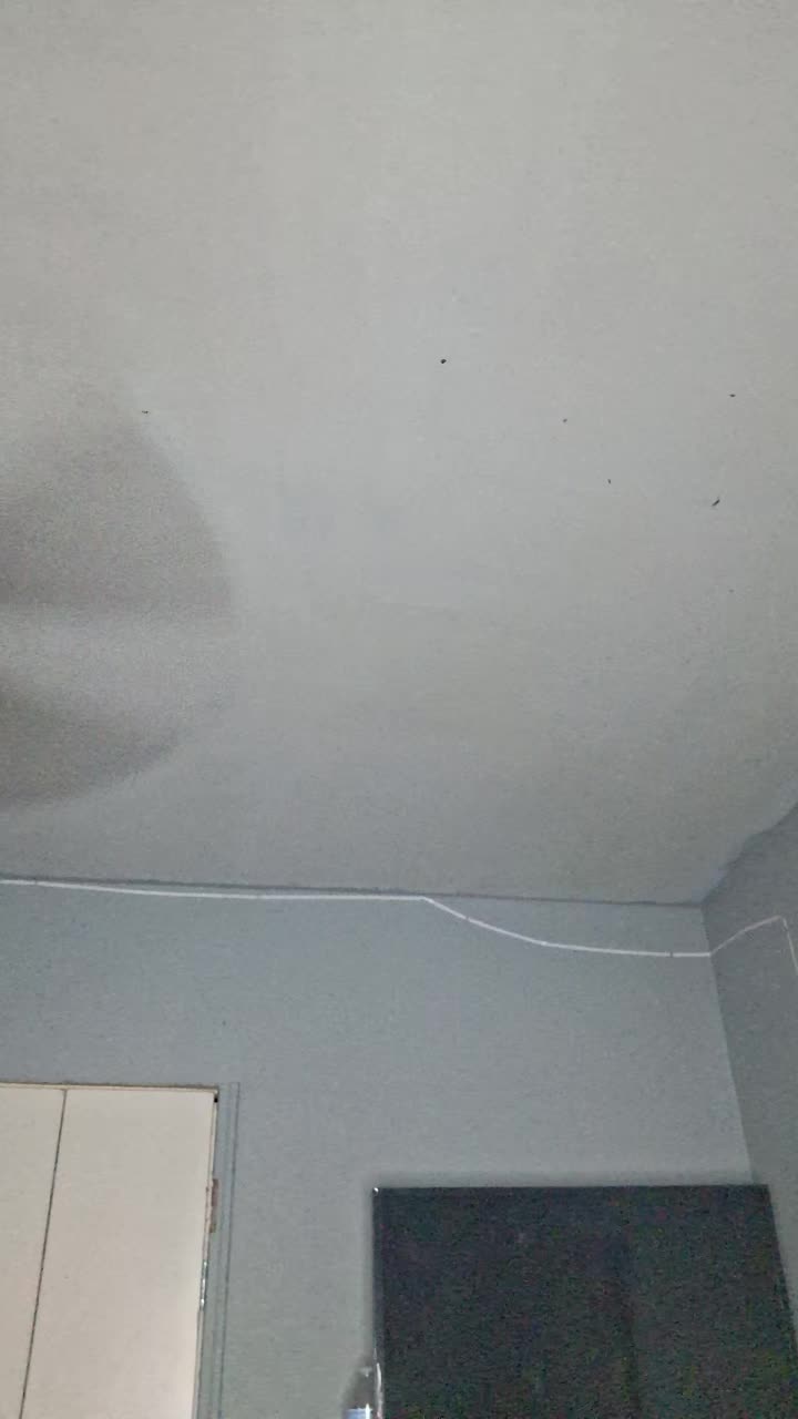 @The_Flazh_Fangz3