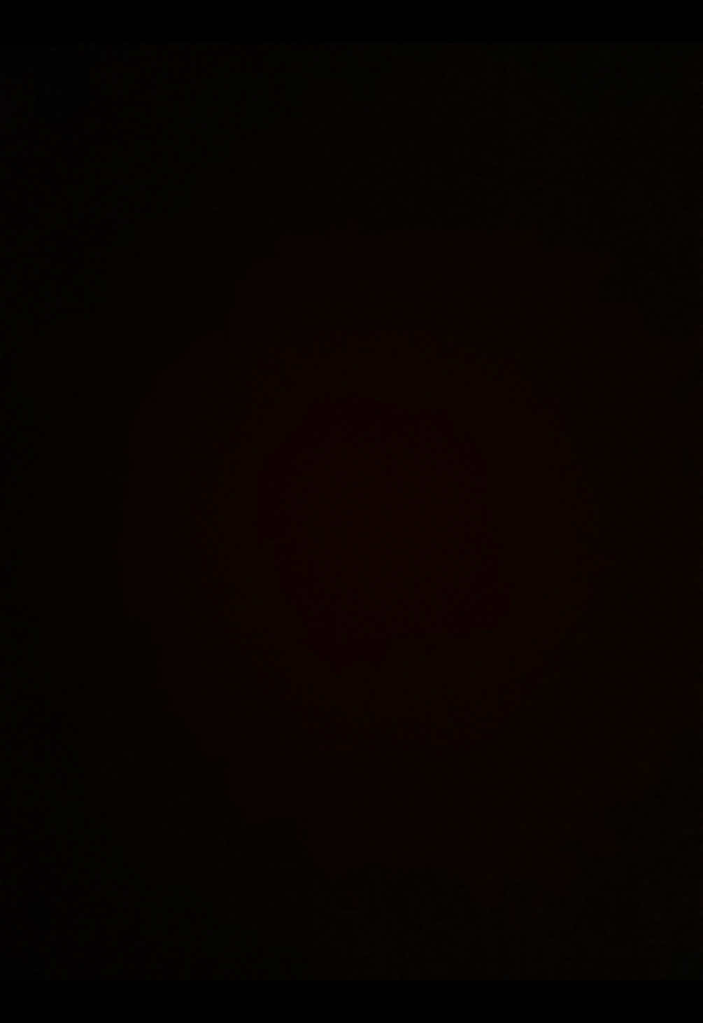 @𝐬𝐨𝐩𝐡𝐢𝐞 ᥫ᭡.