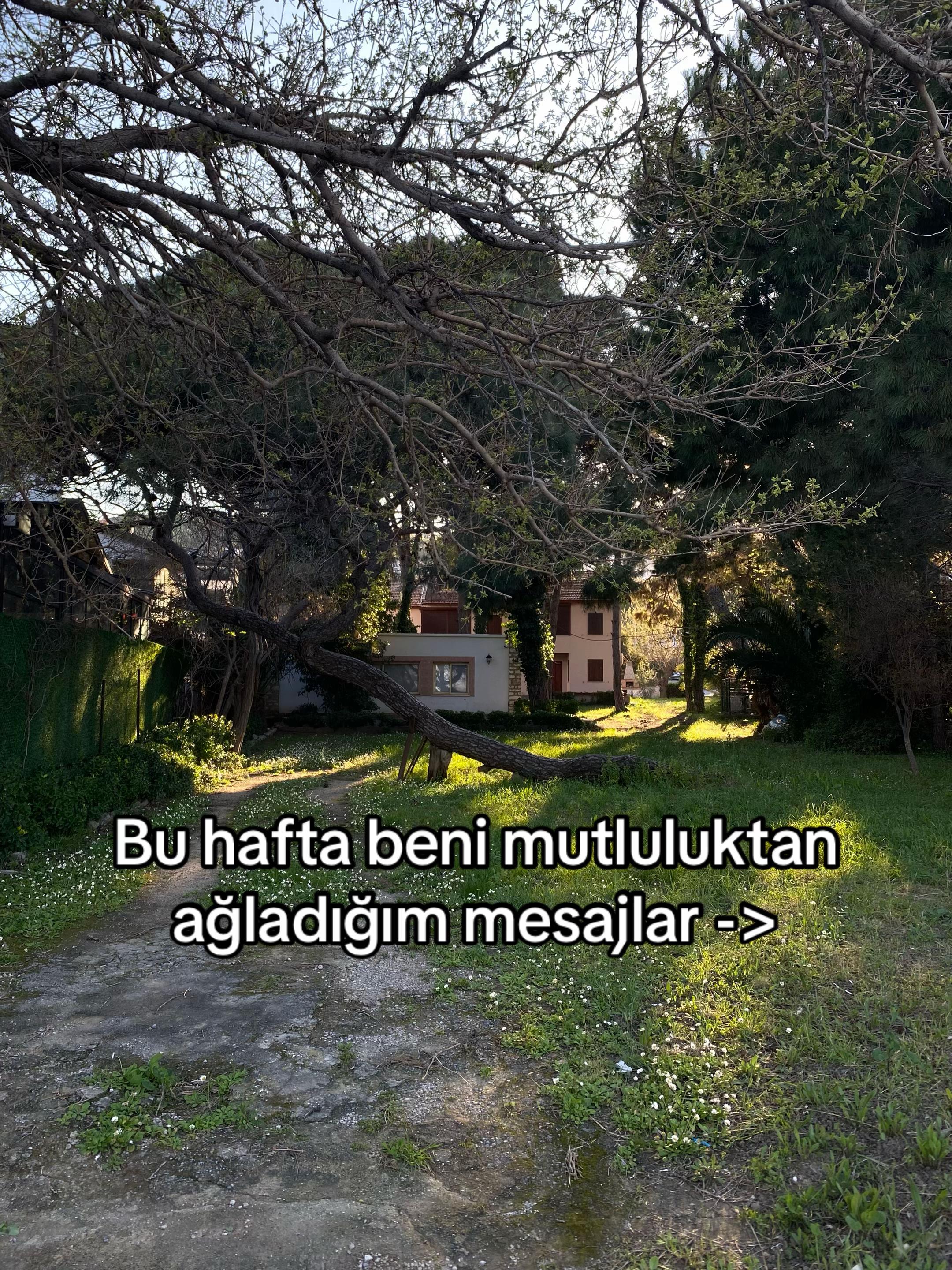 @Aslı Ceren Eker