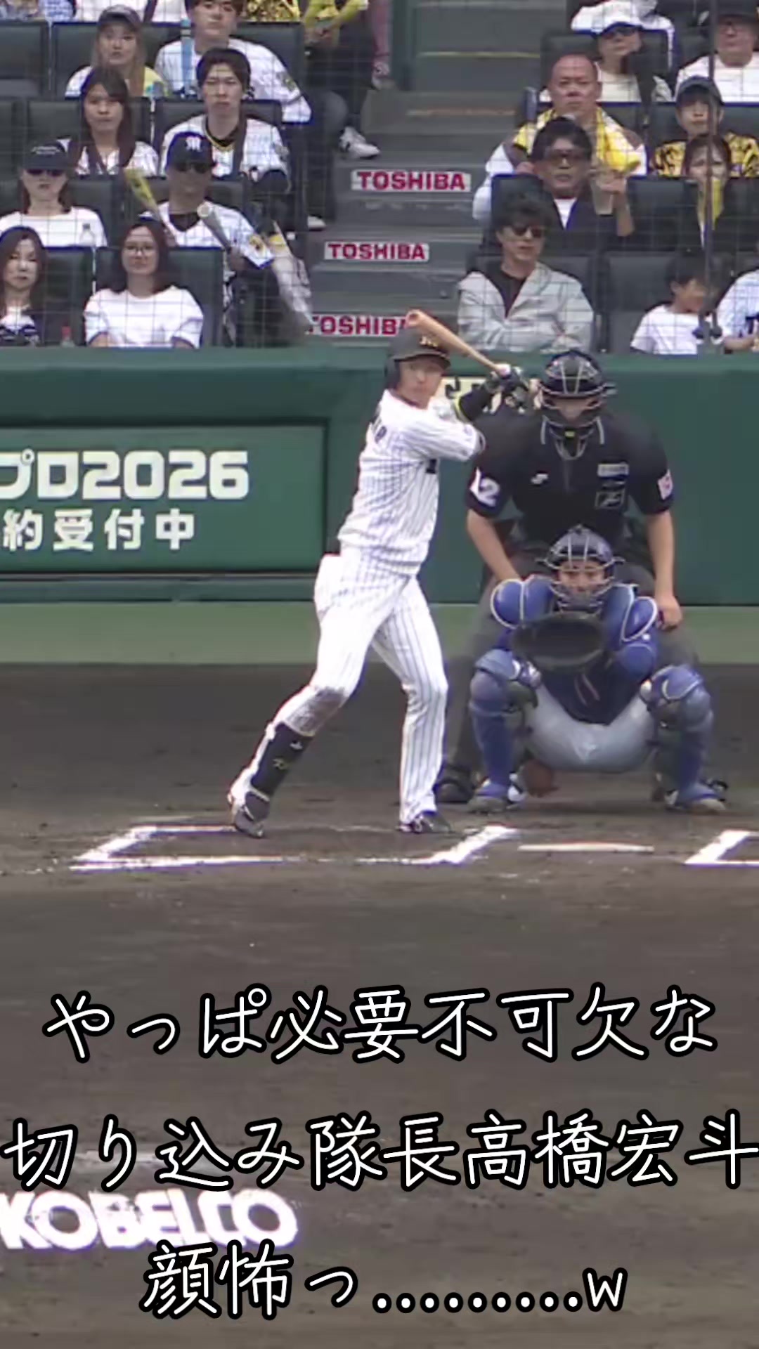 @🍑🐯トライダー🐯🍑