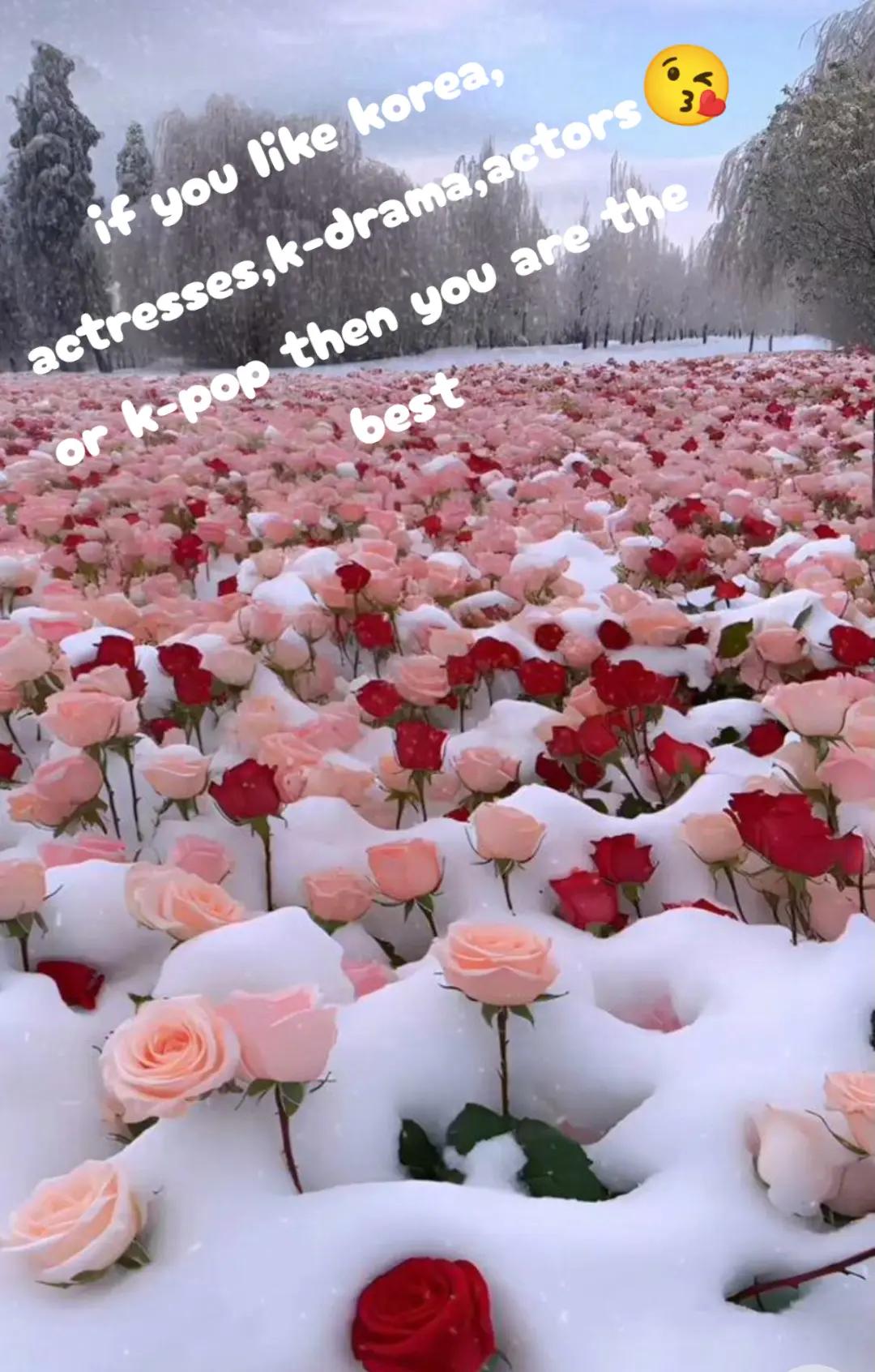 @❄️💞윤지수💞❄️
