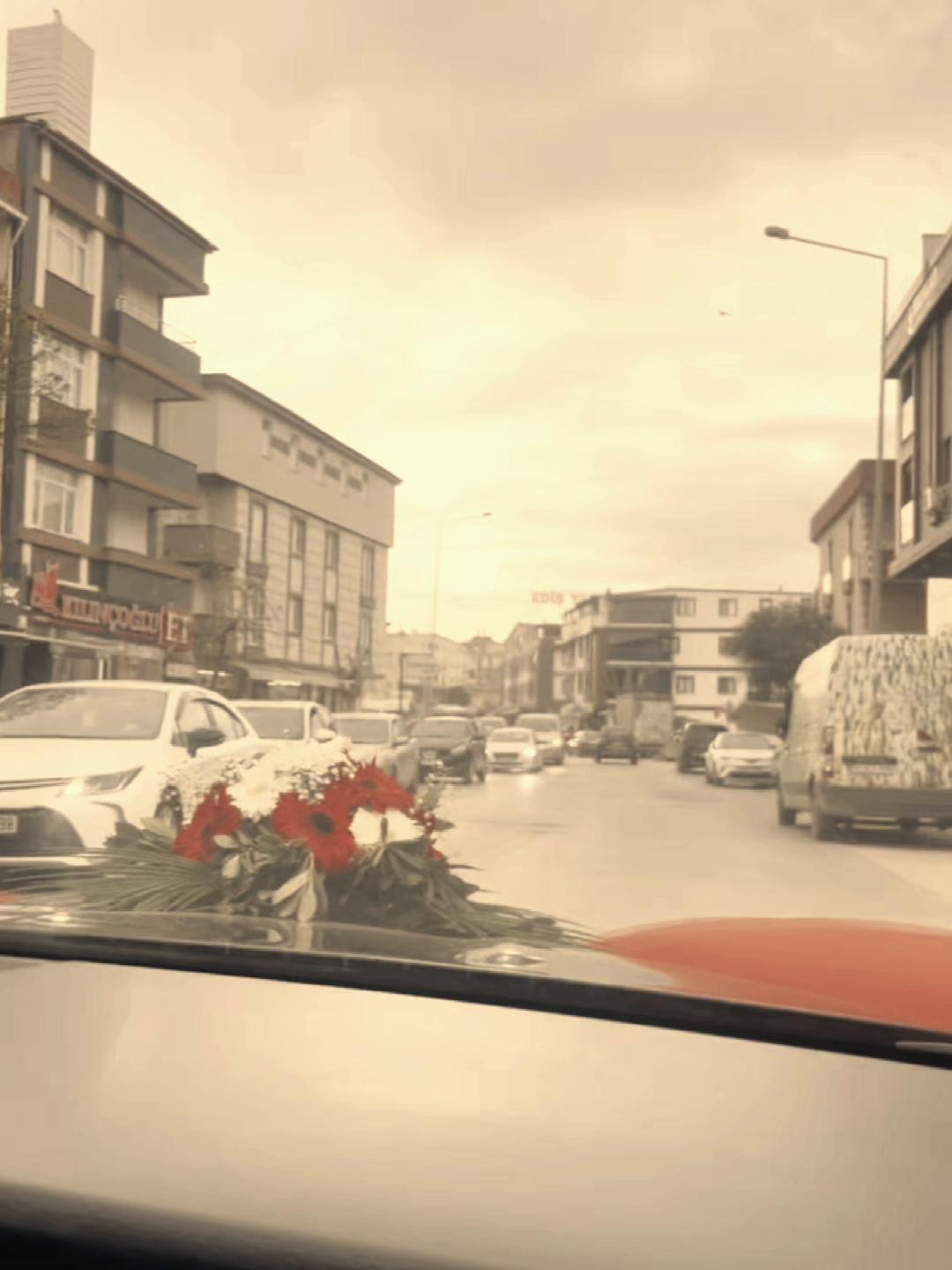 @Derya S&ouml;nmez