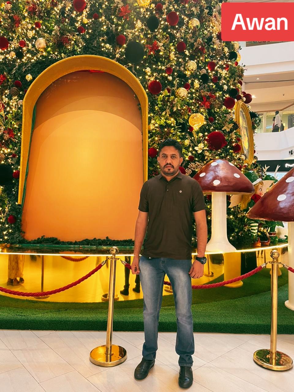 @Awanbadeshah❤️🇵🇰
