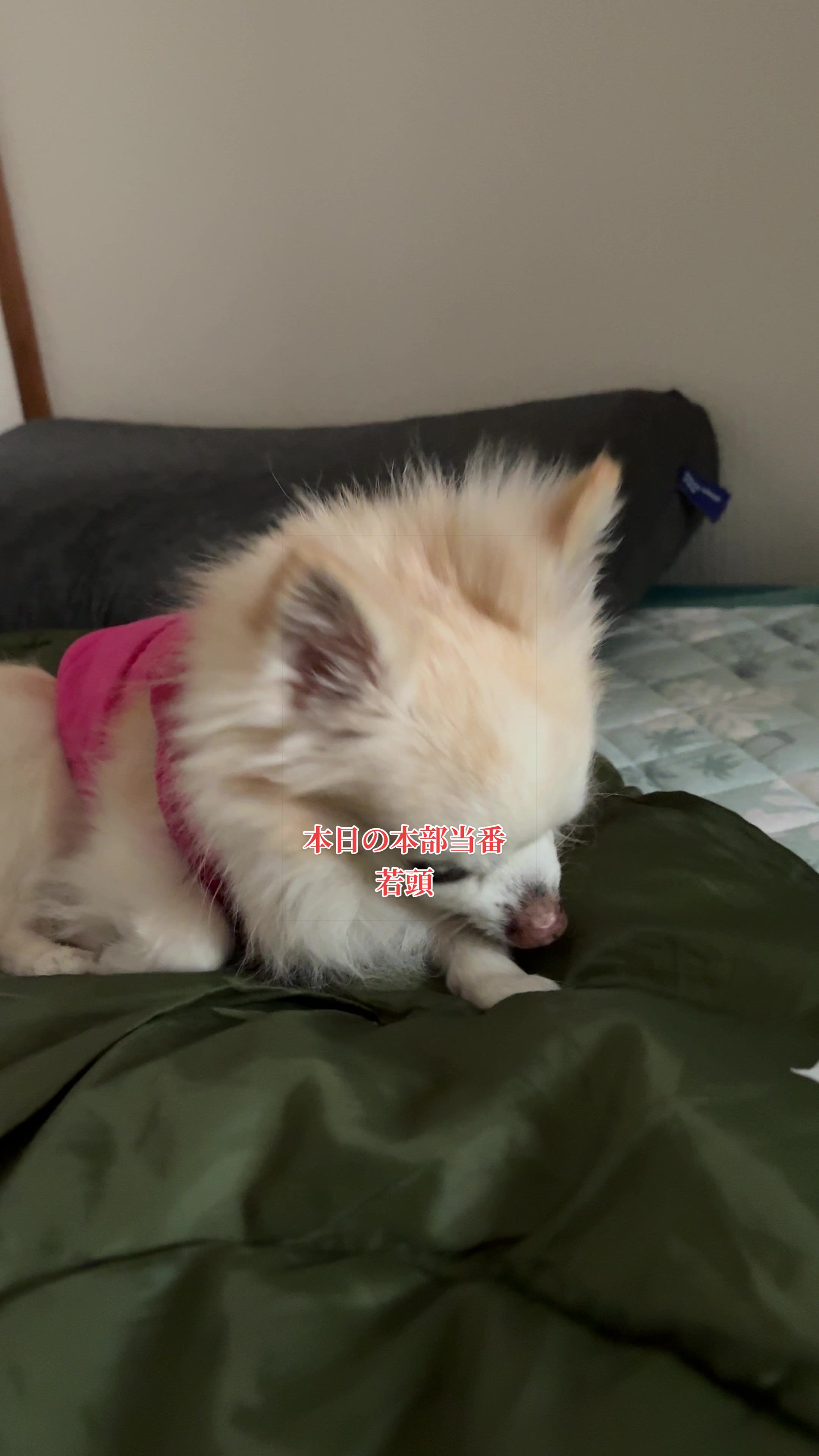 @࿗༺ 𝓚𝓪𝓽𝓾𝔂𝓪  ༻࿘