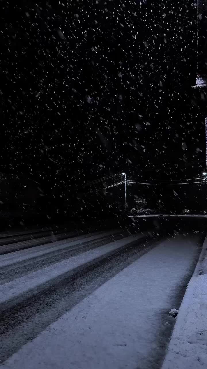 @звуки для липсингов🎧