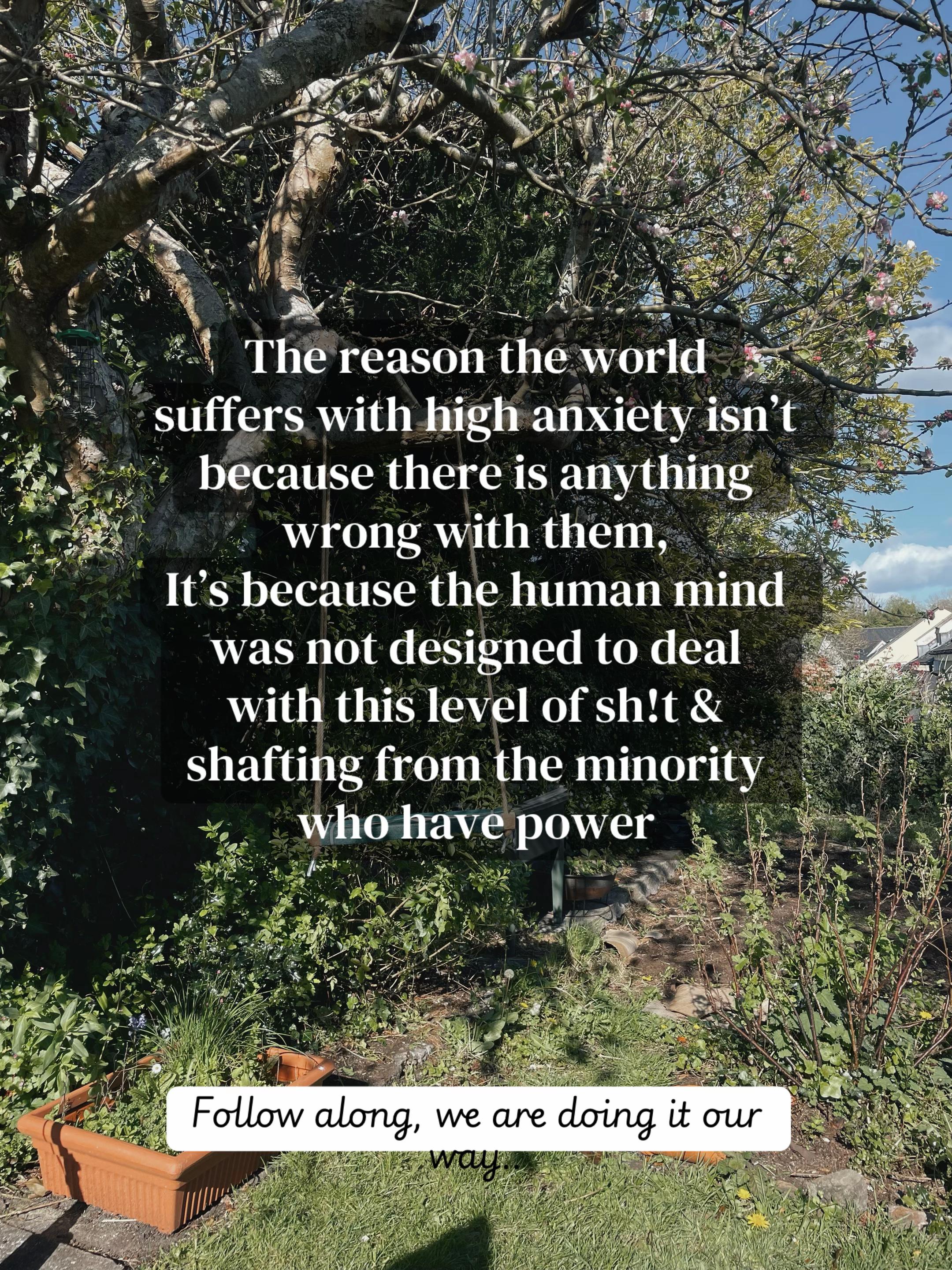 @holisticrebel