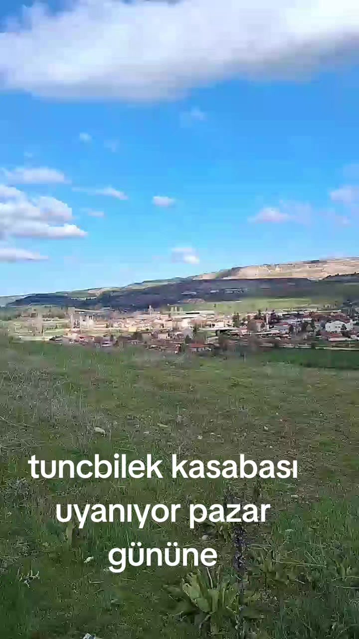 @mavisimsek yucel
