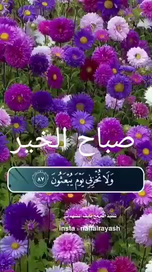 @Tasneem Jameel