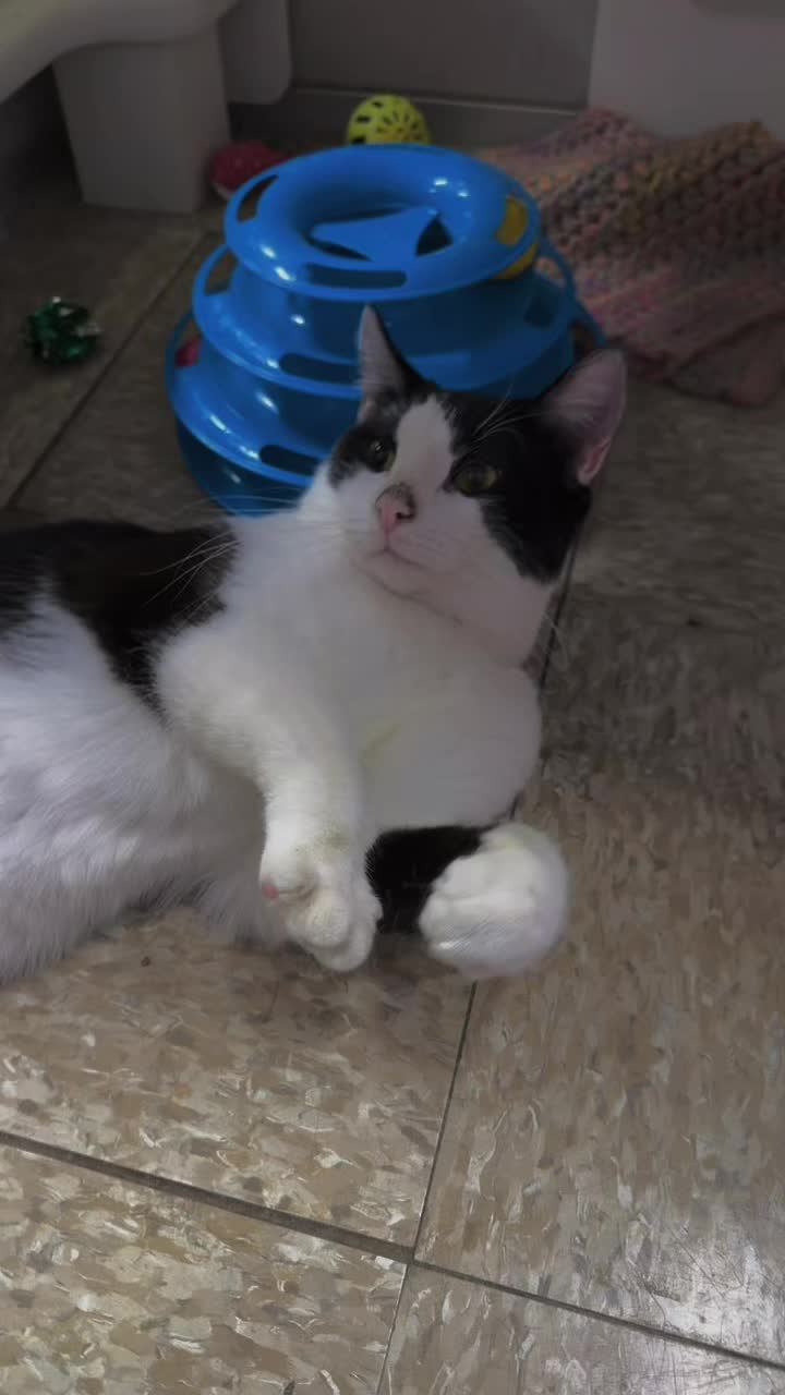 @BNB93😺
