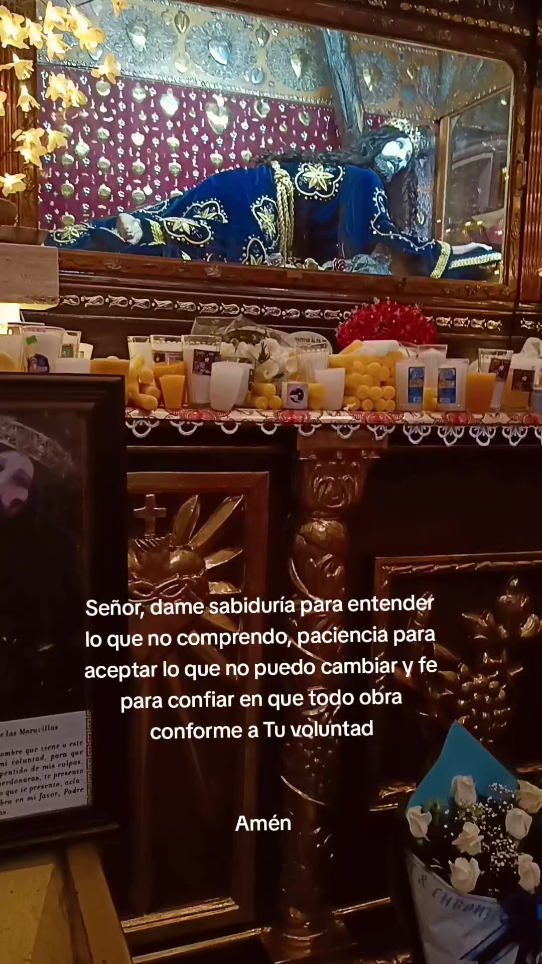 @J.Carlos cruz