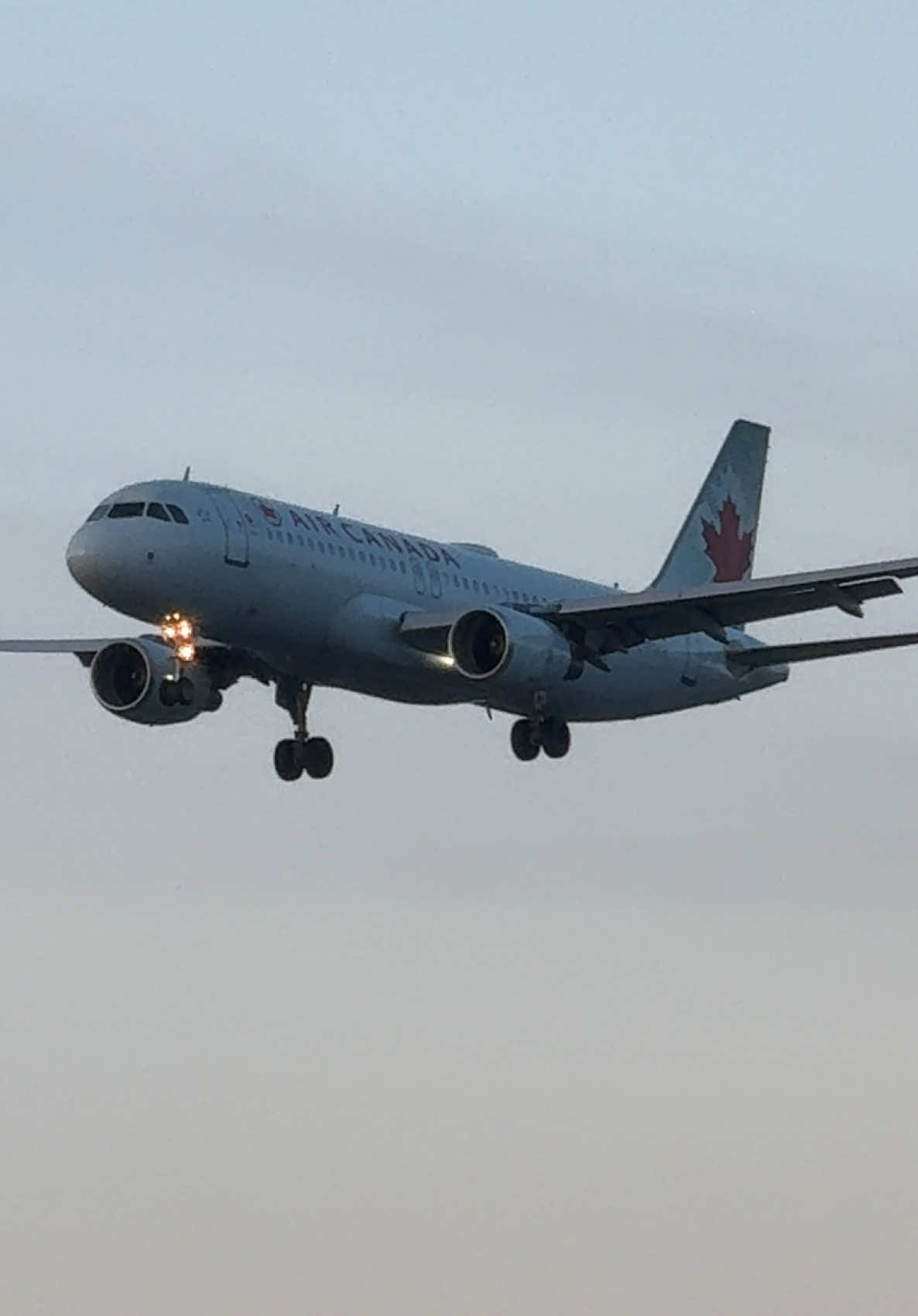 @Toronto Aviation