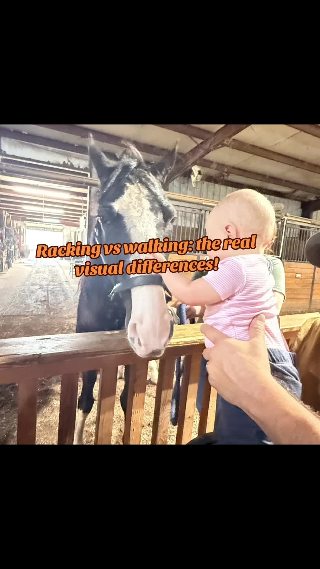 @EightyDollarStables