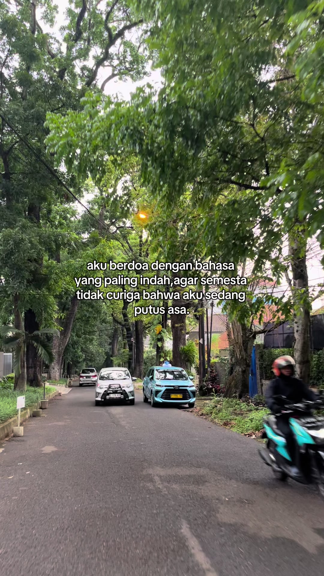 @cacaaaaaa