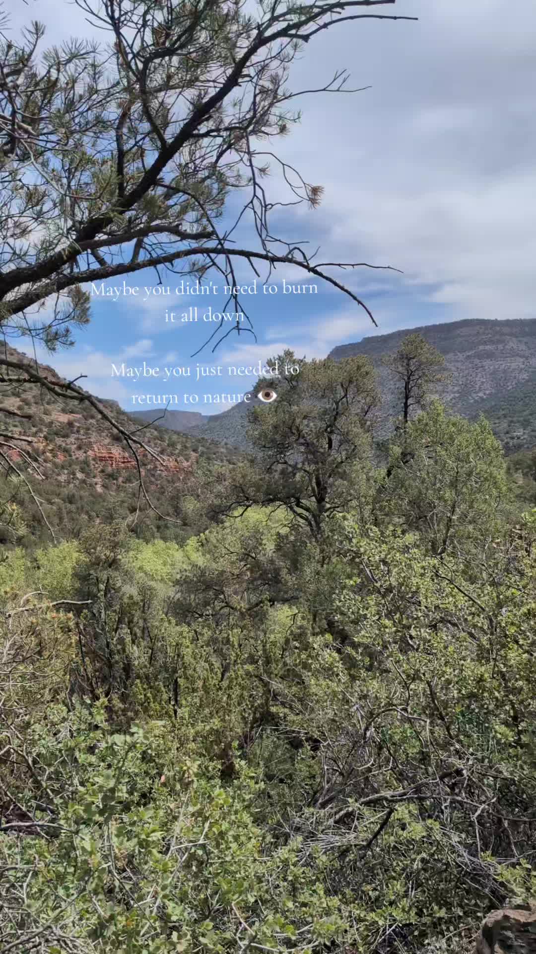 @Sacred Rebel Healer LLC