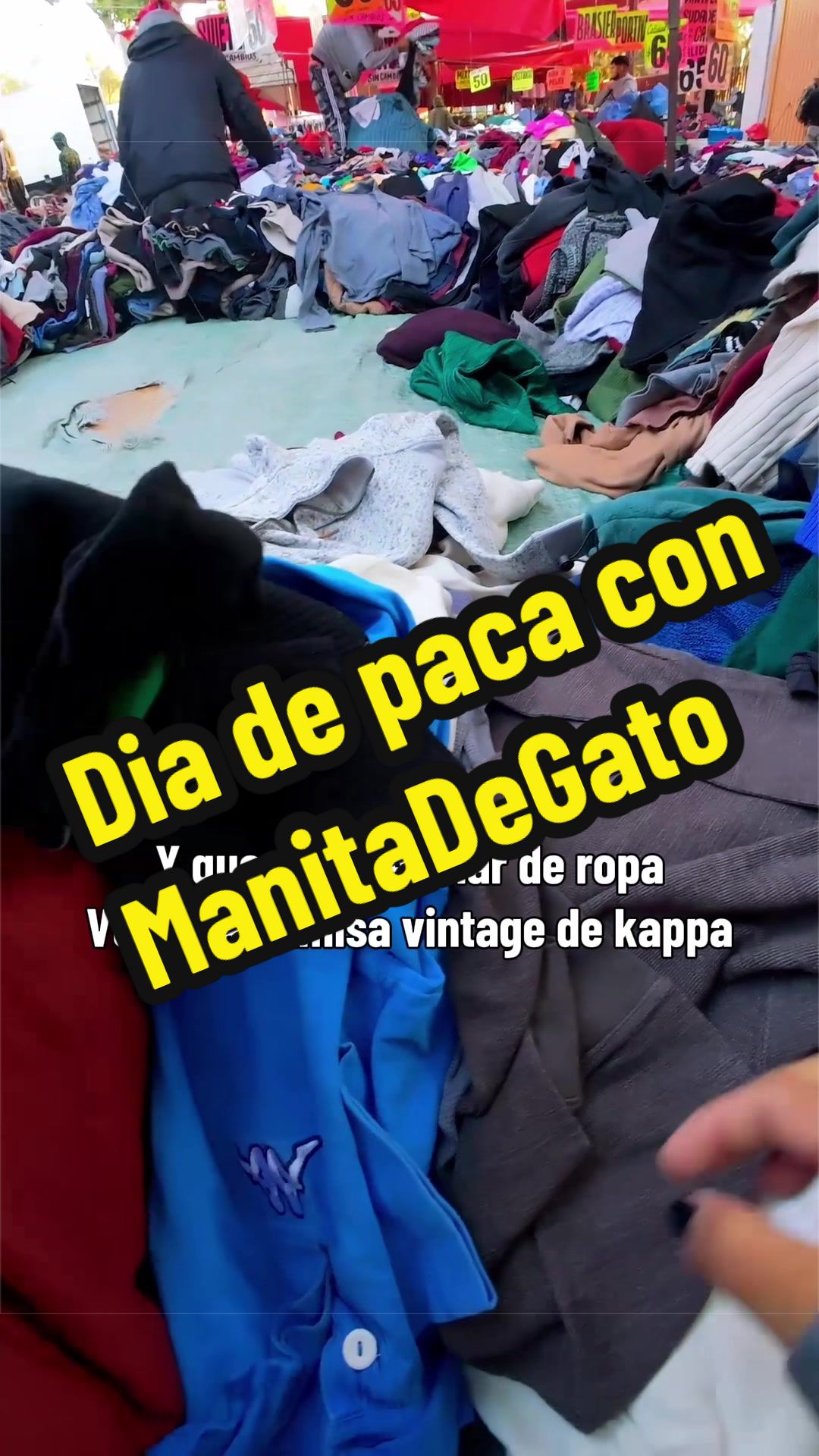 @manitadgmx