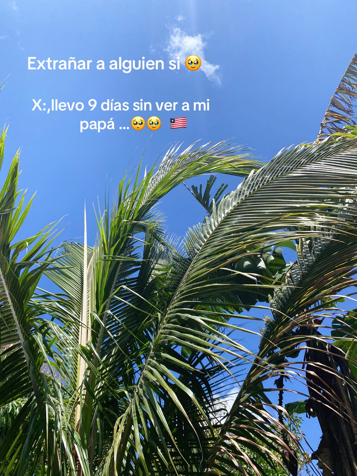 @ 👾🕷️ĐAFNE 🕸️🧃