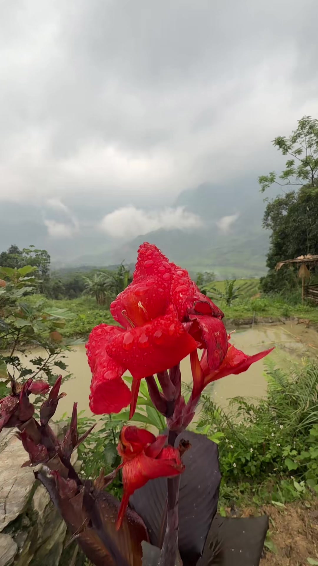 @H&agrave; Thị Mu&ocirc;n