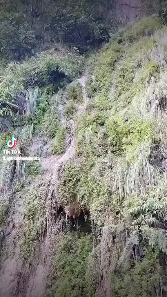 @Tika Bhandari