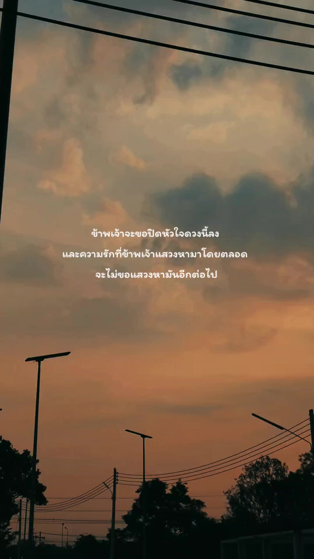 @pipat🌻🤍51.7K