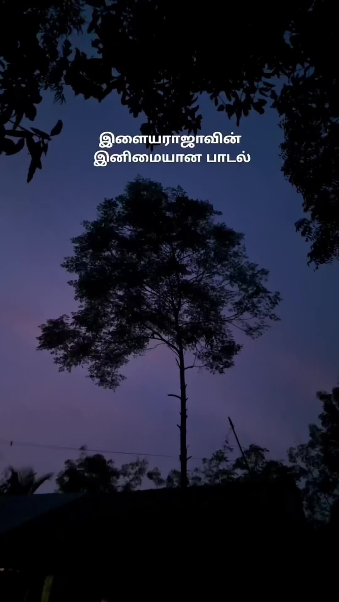 @மகளதிகாரம்❤️🫶