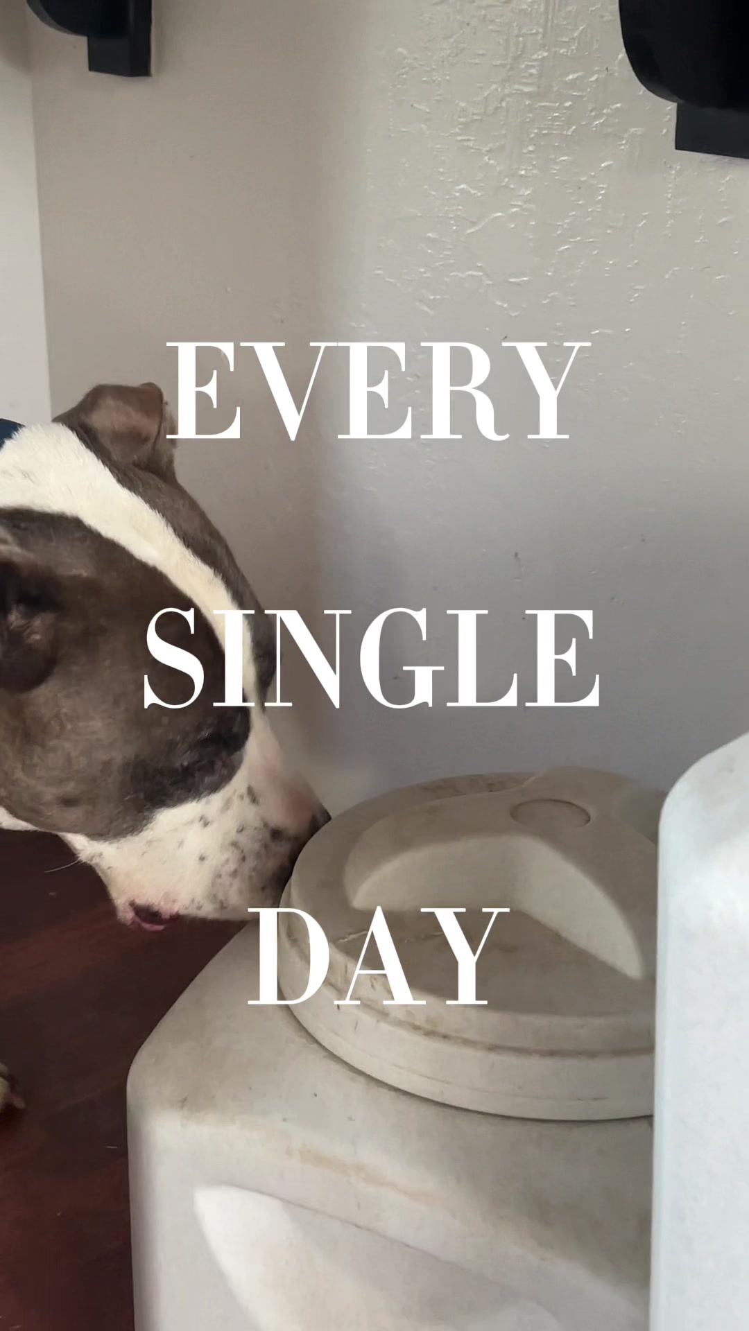 @caponethepitty