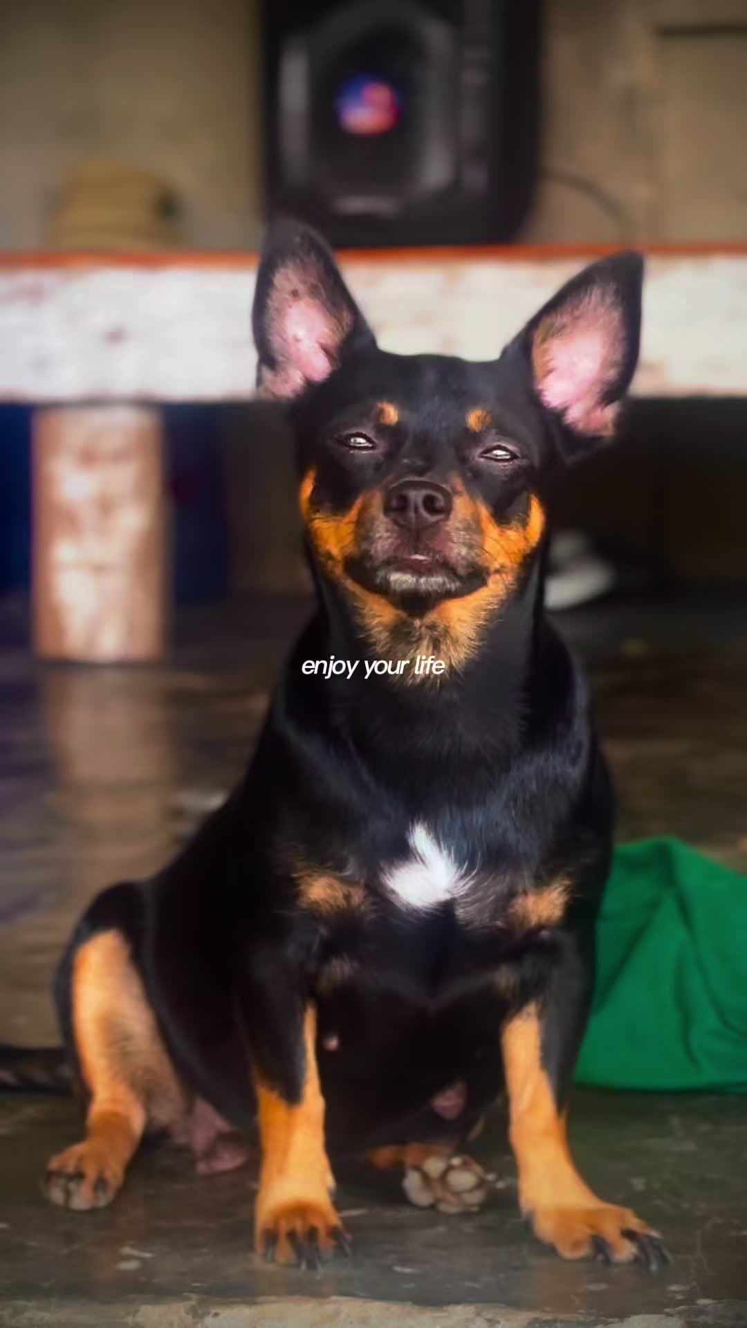 @Merv & Merf