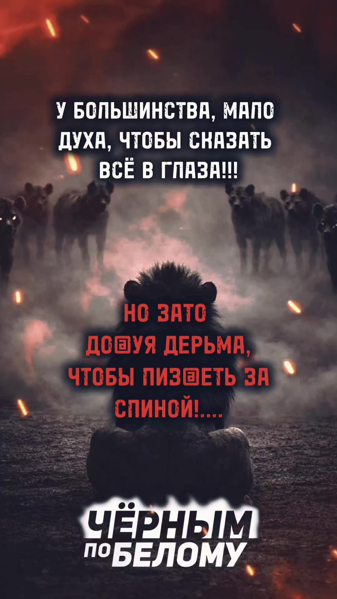 @⬛𝑩𝑳𝑨𝑪𝑲_𝑨𝑵𝑫_𝑾𝑯𝑰𝑻𝑬⬜