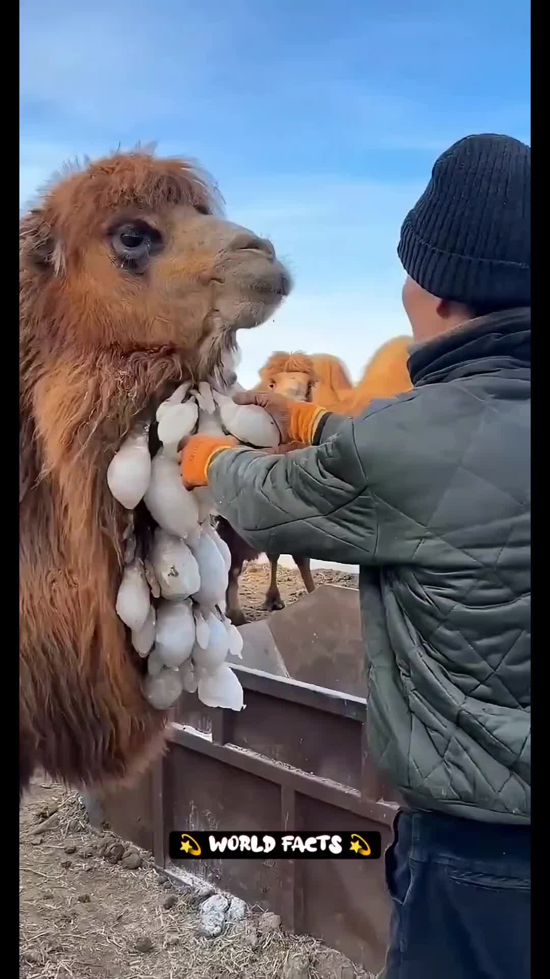 @WorldFacts