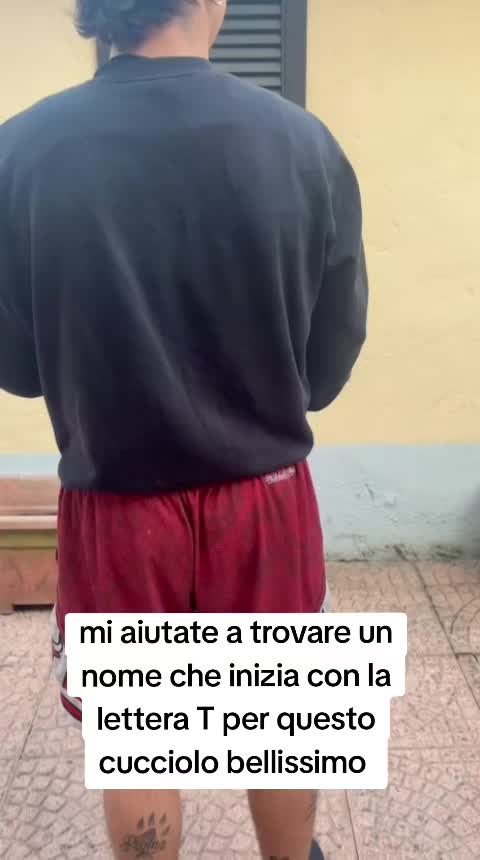 @Alfio Arcifa Magistrale