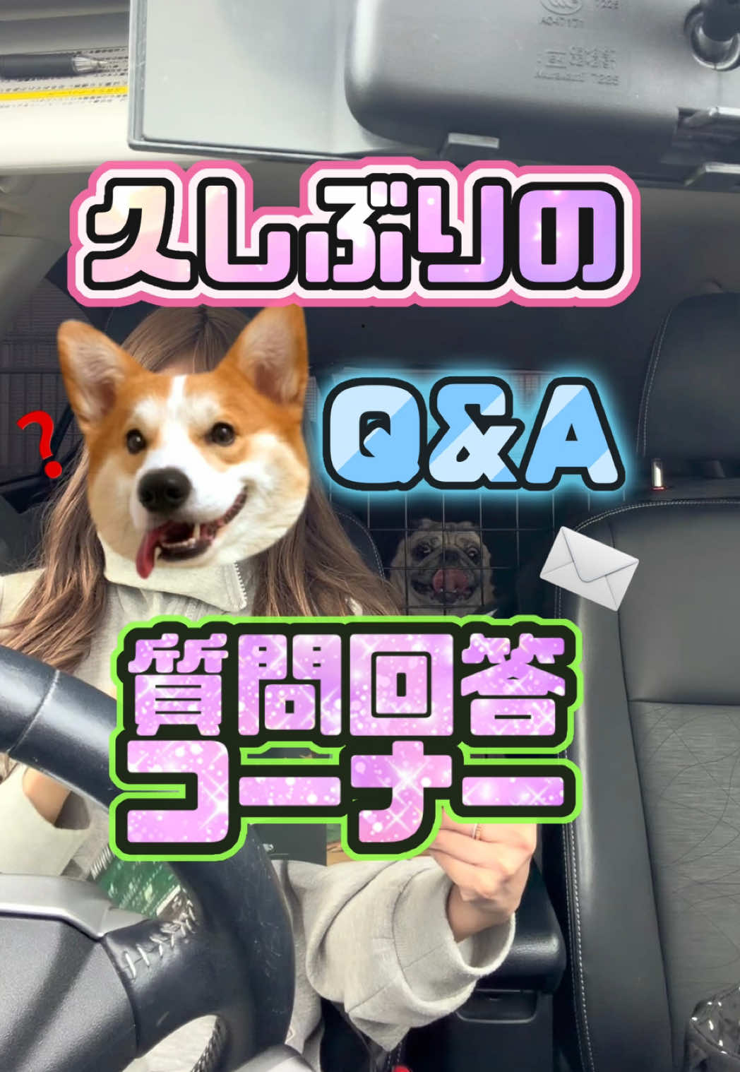 @ペコピノ🐶さっちゃん