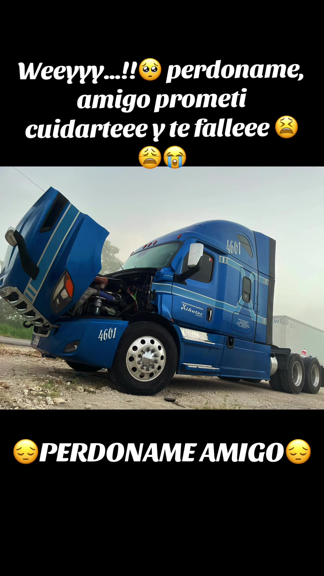 @anthonyroms6387