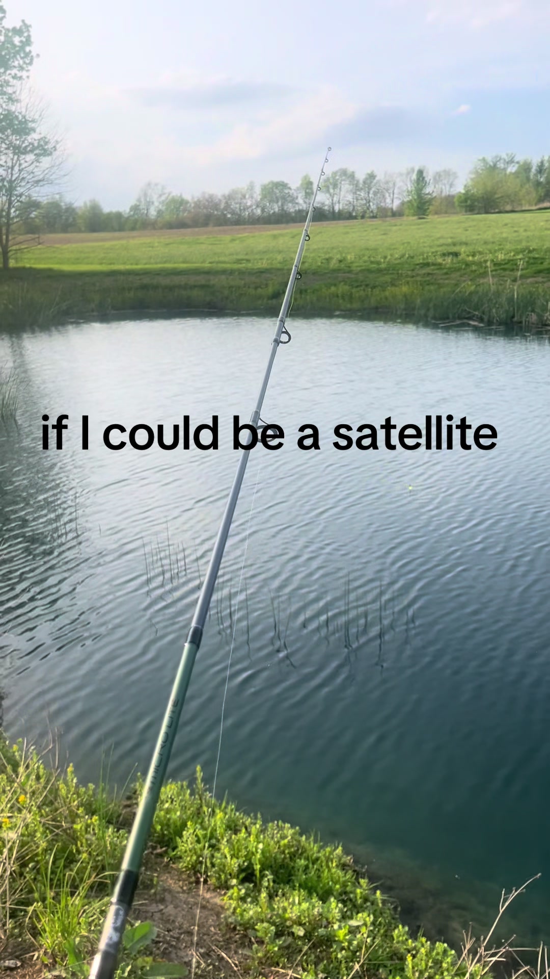 @graceywallin