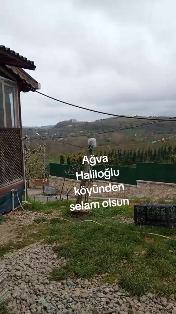 @M&Uuml;SL&Uuml;MC&Uuml; 41 🟡🇹🇷🔵